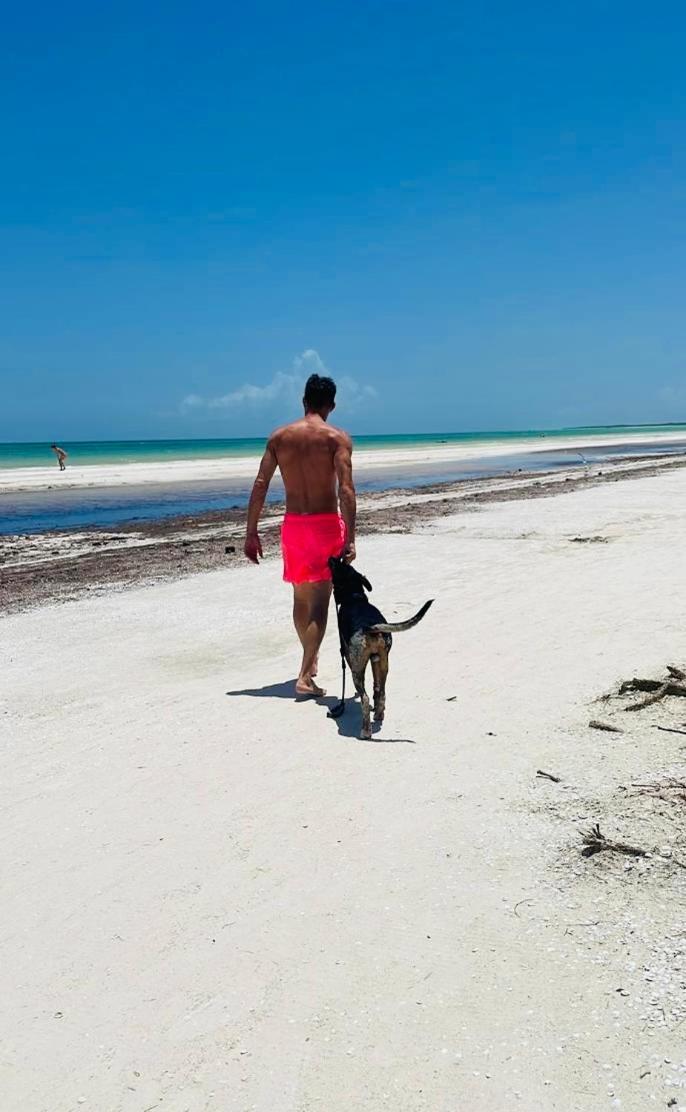 Pachamama Holbox - Hostel & Private Apartments Eksteriør bilde